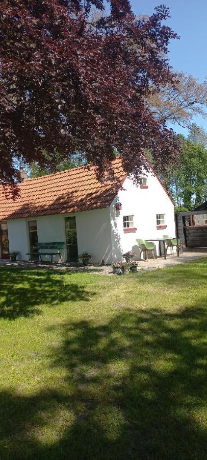 Vakantiewoning 'T Bakhuus Bergentheim Exterior photo